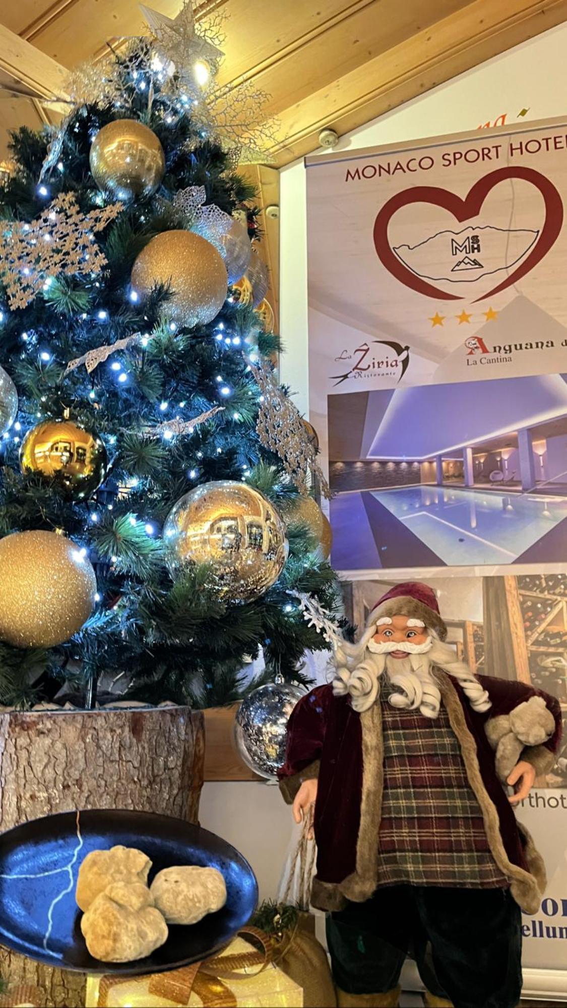 Monaco Sport Hotel Santo Stefano Di Cadore Bagian luar foto